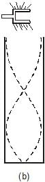Types: Waves | Physics for Airmen Group X - Airforce X Y / Indian Navy SSR